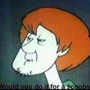 Meet your Posher, Aidan